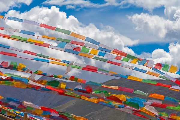 Su, Keren 아티스트의 Prayer flags in Simila Mountain-Gyantse County-Tibet-China작품입니다.
